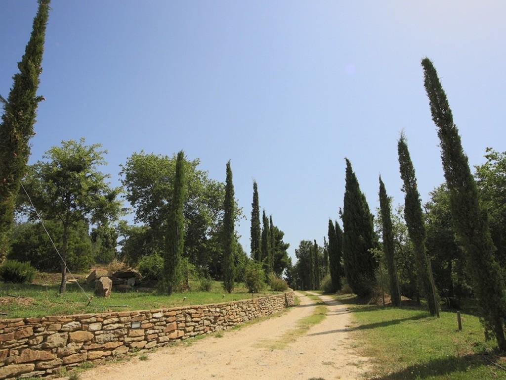 네론톨라 Tenuta Angelici Winery Casa Contea With Pool And Panoramic Pool Cortona 빌라 객실 사진